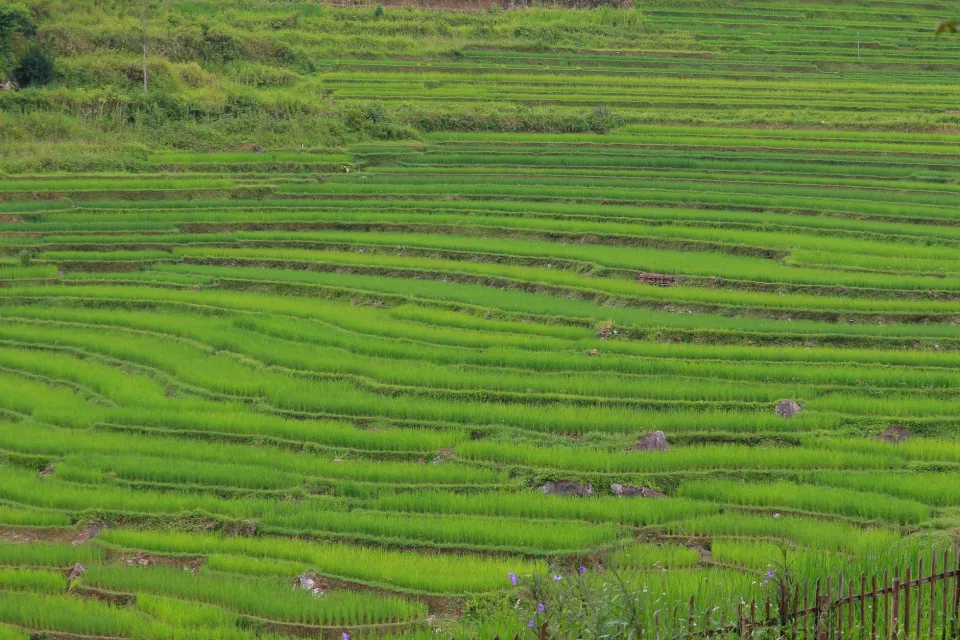 Kho gạo của Đỗ Thị Bích Liên